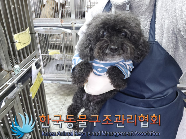 한국동물구조관리협회_441409202401866