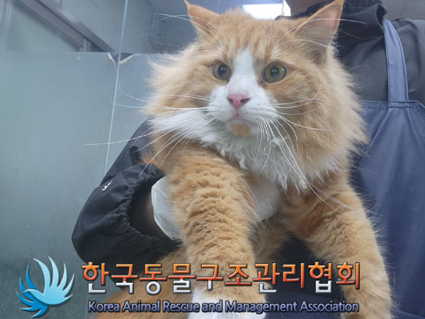 한국동물구조관리협회_441559202401366