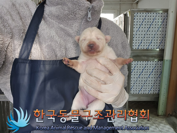 한국동물구조관리협회_441406202402104