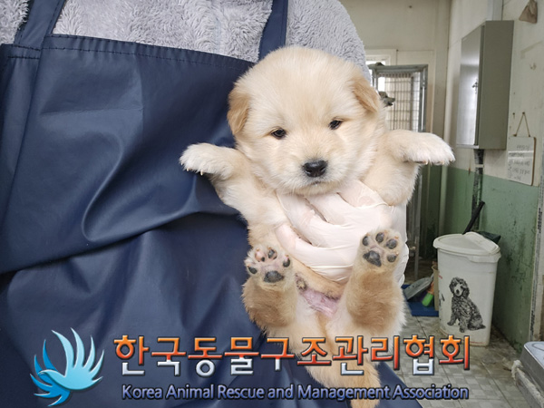 한국동물구조관리협회_441406202402115