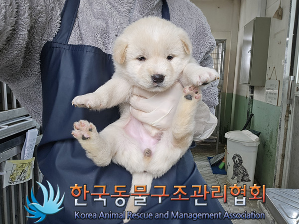한국동물구조관리협회_441406202402116