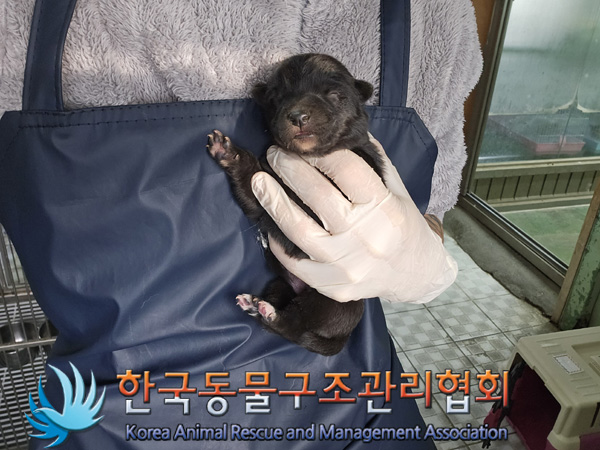 한국동물구조관리협회_441406202402106