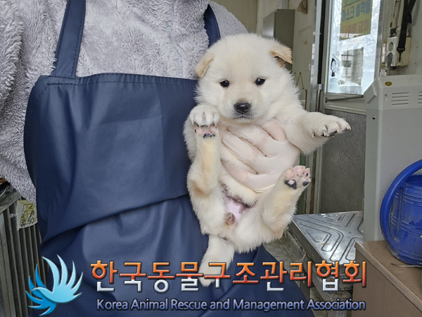 한국동물구조관리협회_441406202402117
