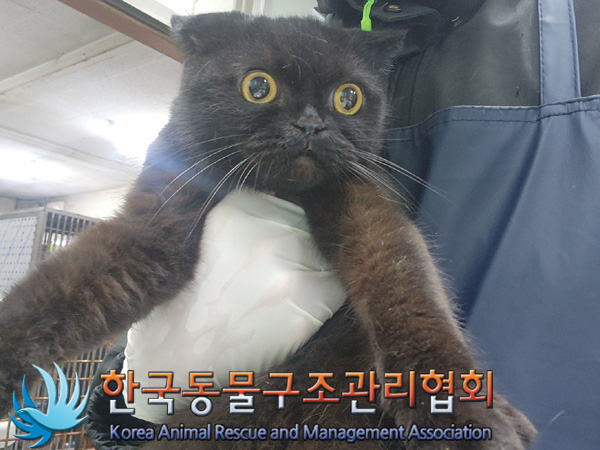 한국동물구조관리협회_411301202400451