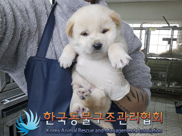 한국동물구조관리협회_441406202402118