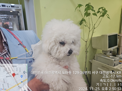 대전동물보호센터_430365202400598
