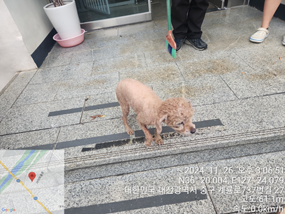 대전동물보호센터_430365202400599