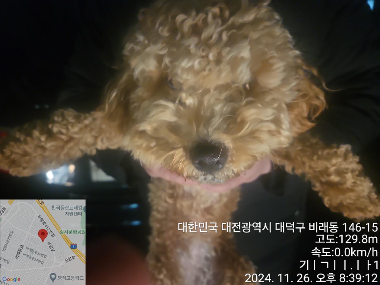 대전동물보호센터_430368202400568
