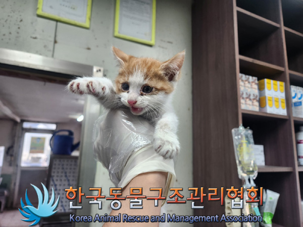 한국동물구조관리협회_411322202400932