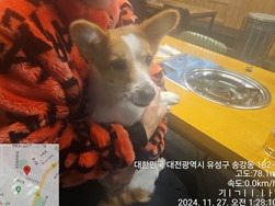 대전동물보호센터_430367202400963