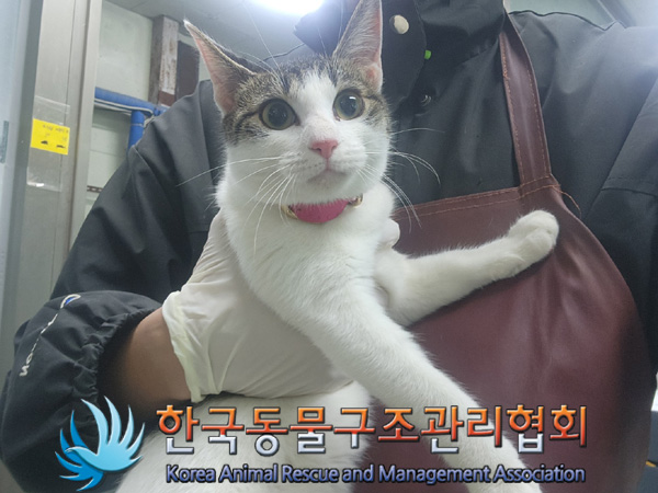 한국동물구조관리협회_411304202400679