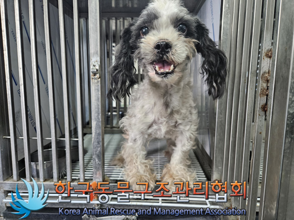 한국동물구조관리협회_441406202402130
