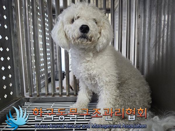 한국동물구조관리협회_441382202400823
