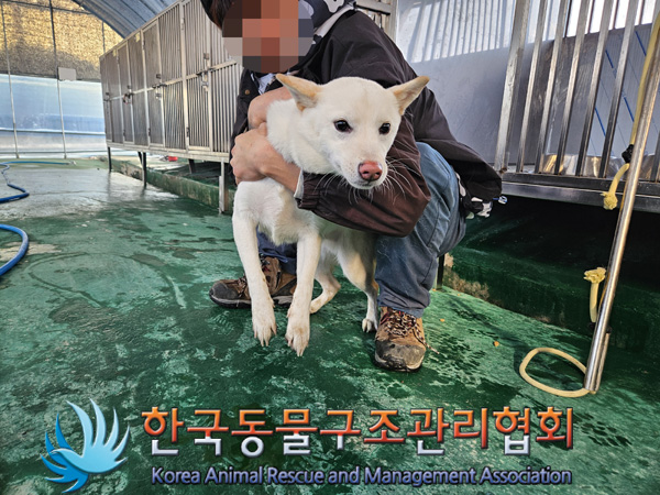 한국동물구조관리협회_441414202401005