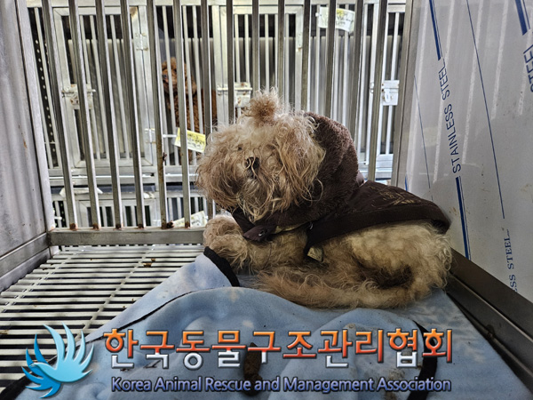 한국동물구조관리협회_411306202400863