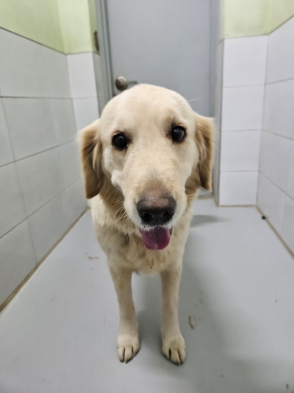 아산동물복지지원센터_444452202402411