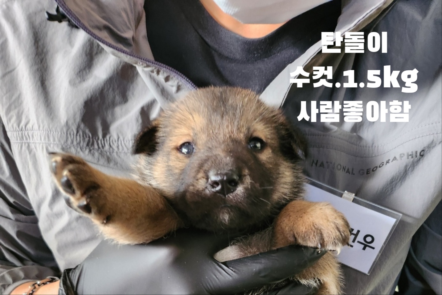 성주유기동물보호센터_447521202400662