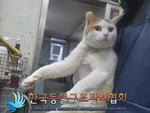 한국동물구조관리협회_441409202401877