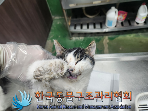 종료(자연사) 한국…