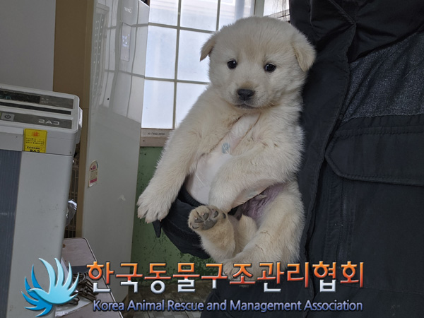 한국동물구조관리협회_441560202401404