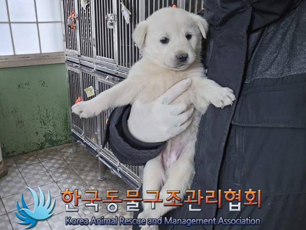 한국동물구조관리협회_441560202401398