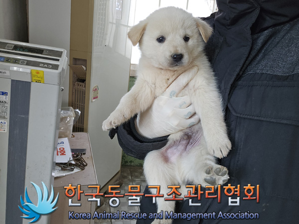 한국동물구조관리협회_441560202401402