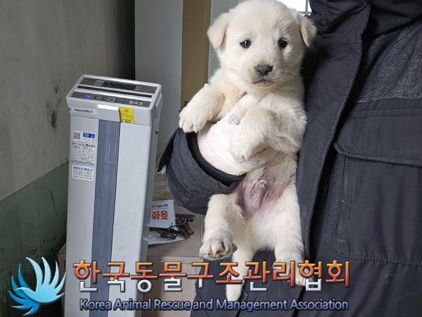 한국동물구조관리협회_441560202401399