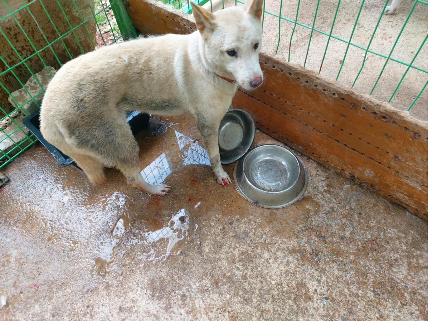 전북말산업복합센터_445471202400754