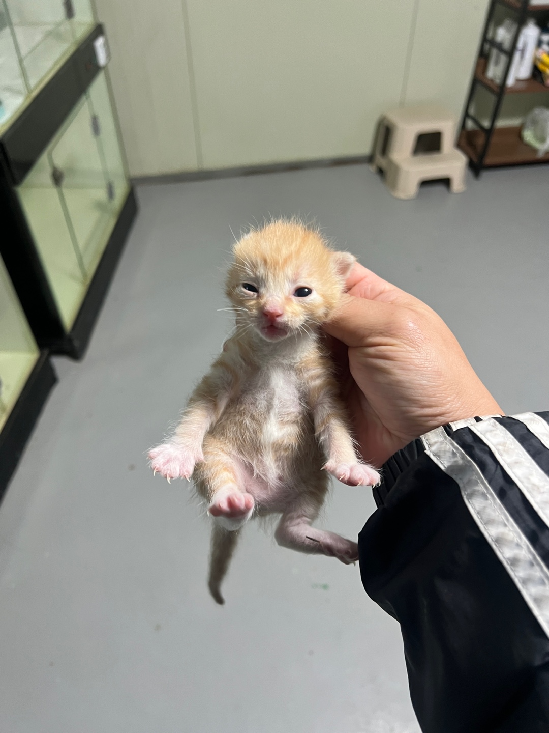 부산동물보호센터_426332202400765