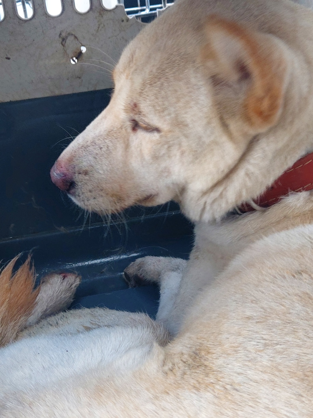 전북말산업복합센터_445471202400753