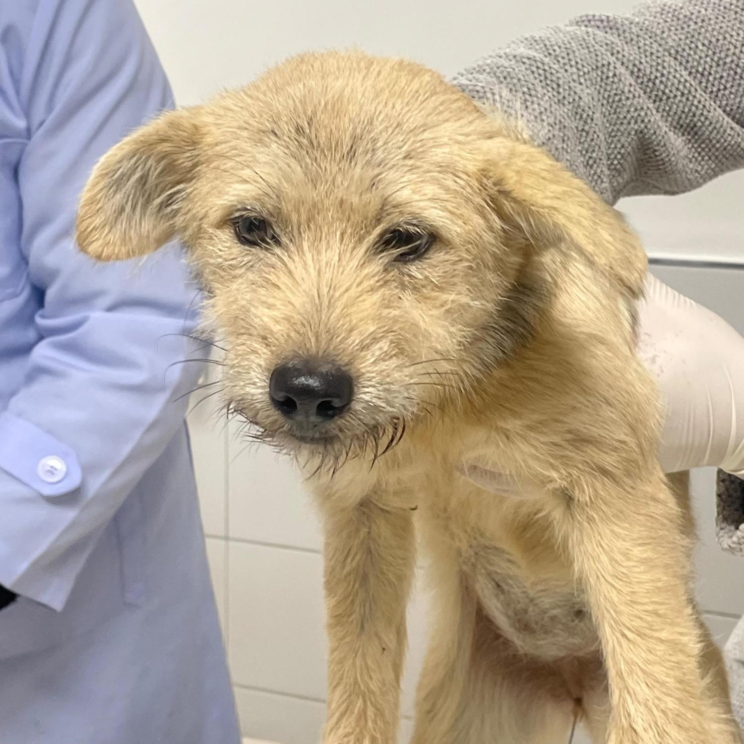 남해군동물보호센터_448543202400330