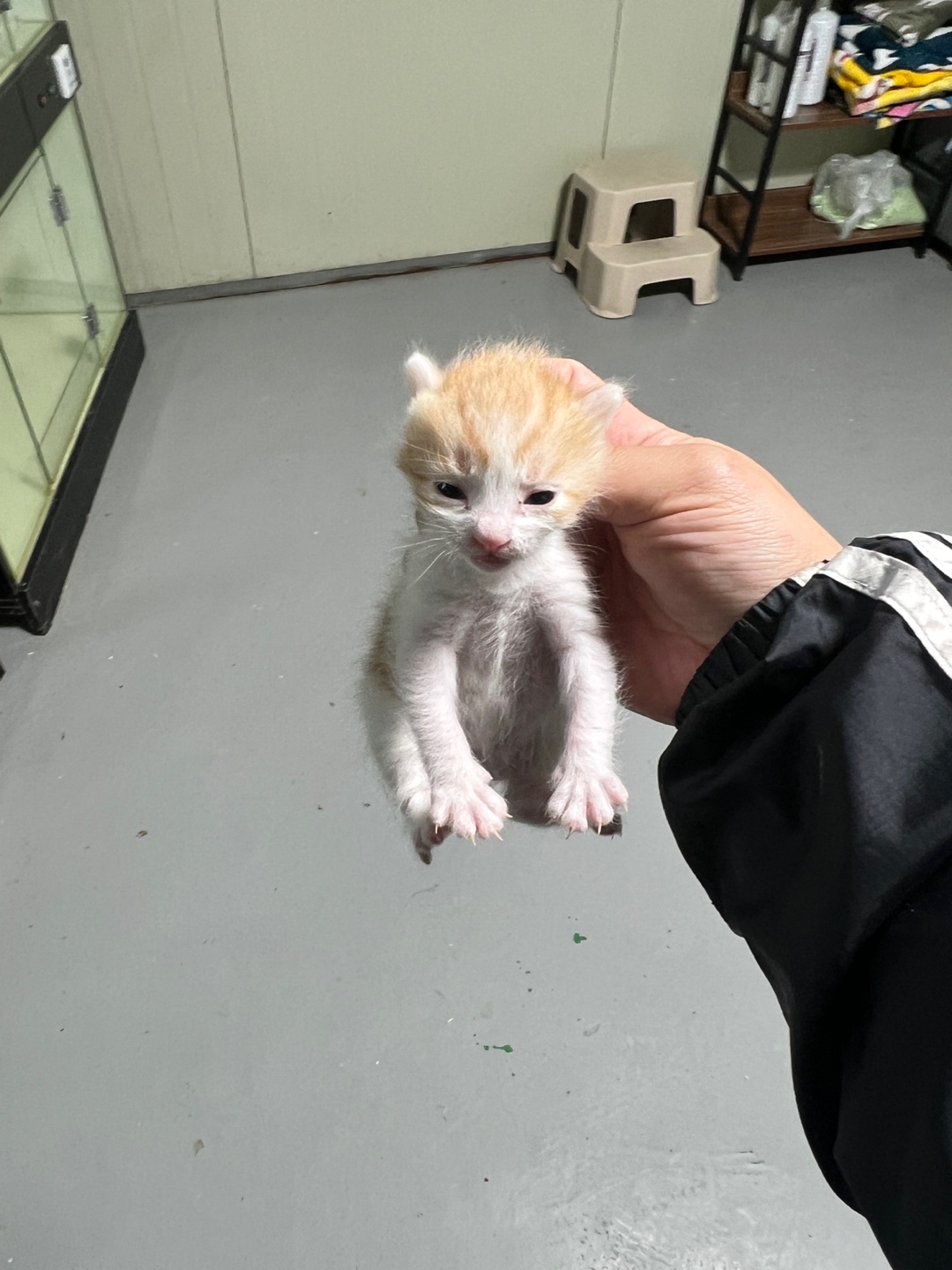 부산동물보호센터_426332202400768