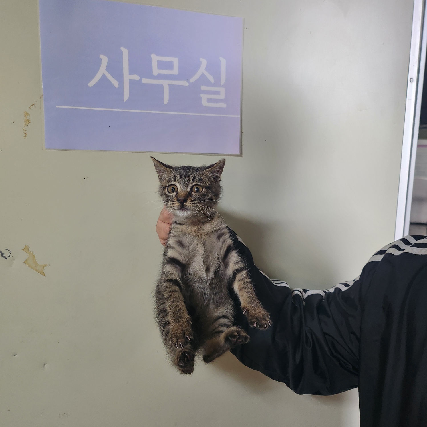 종료(자연사) 한국…