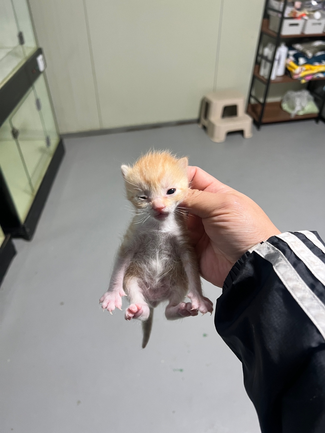 부산동물보호센터_426332202400767
