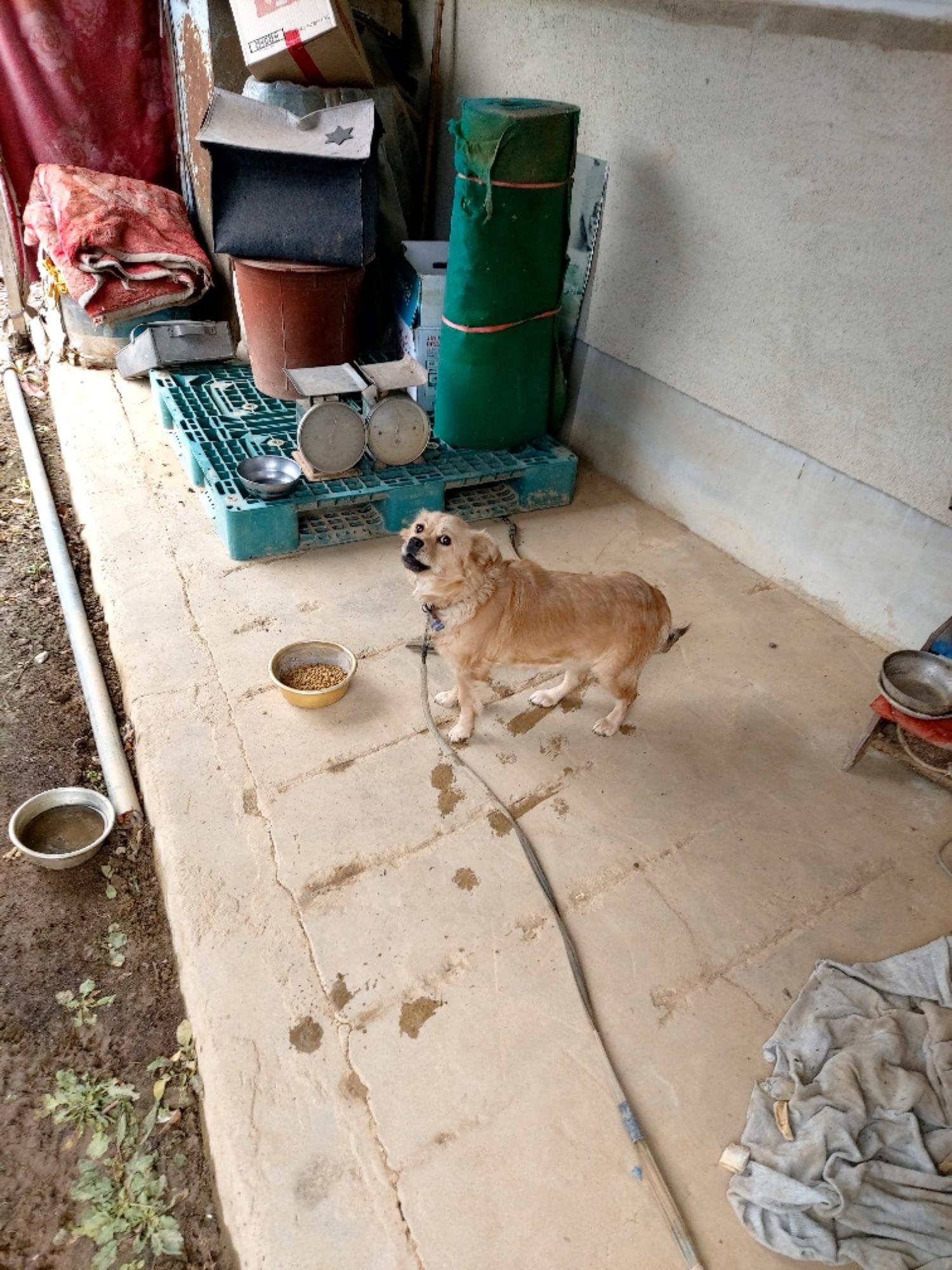 제일동물병원_444455202400660