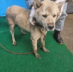 제주 동물보호센터_450650202403565