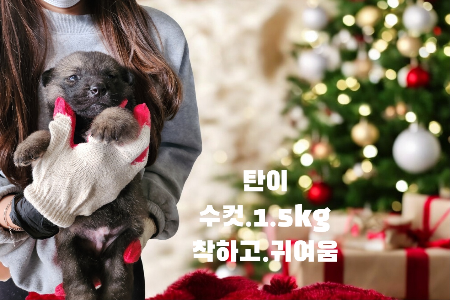 성주유기동물보호센터_447521202400667
