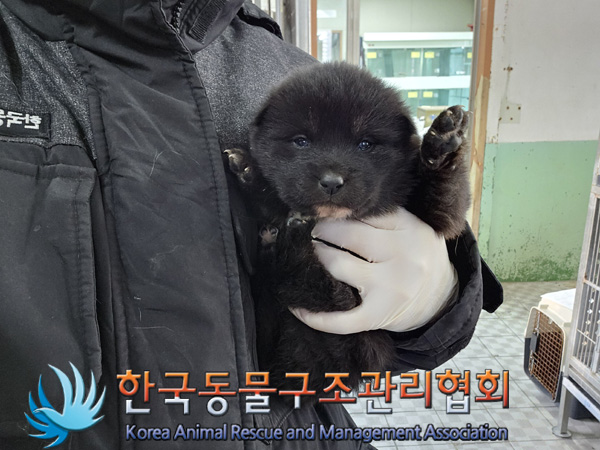 한국동물구조관리협회_441559202401387