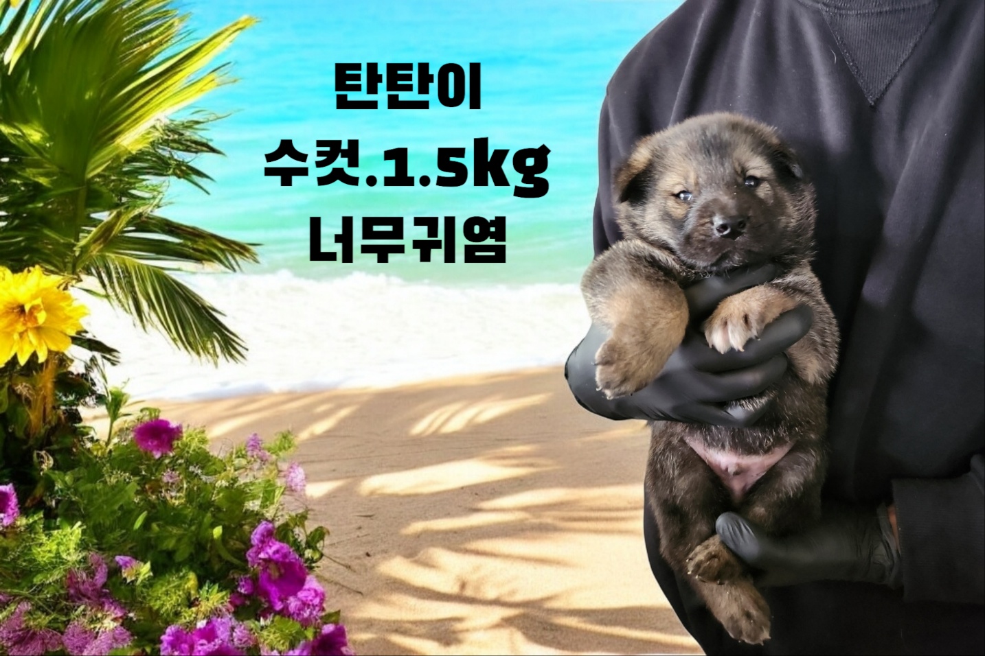 성주유기동물보호센터_447521202400674