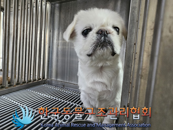 한국동물구조관리협회_441414202401007