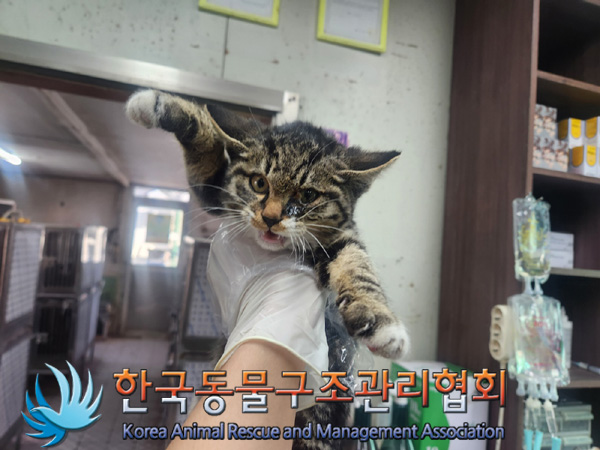 한국동물구조관리협회_441559202401391