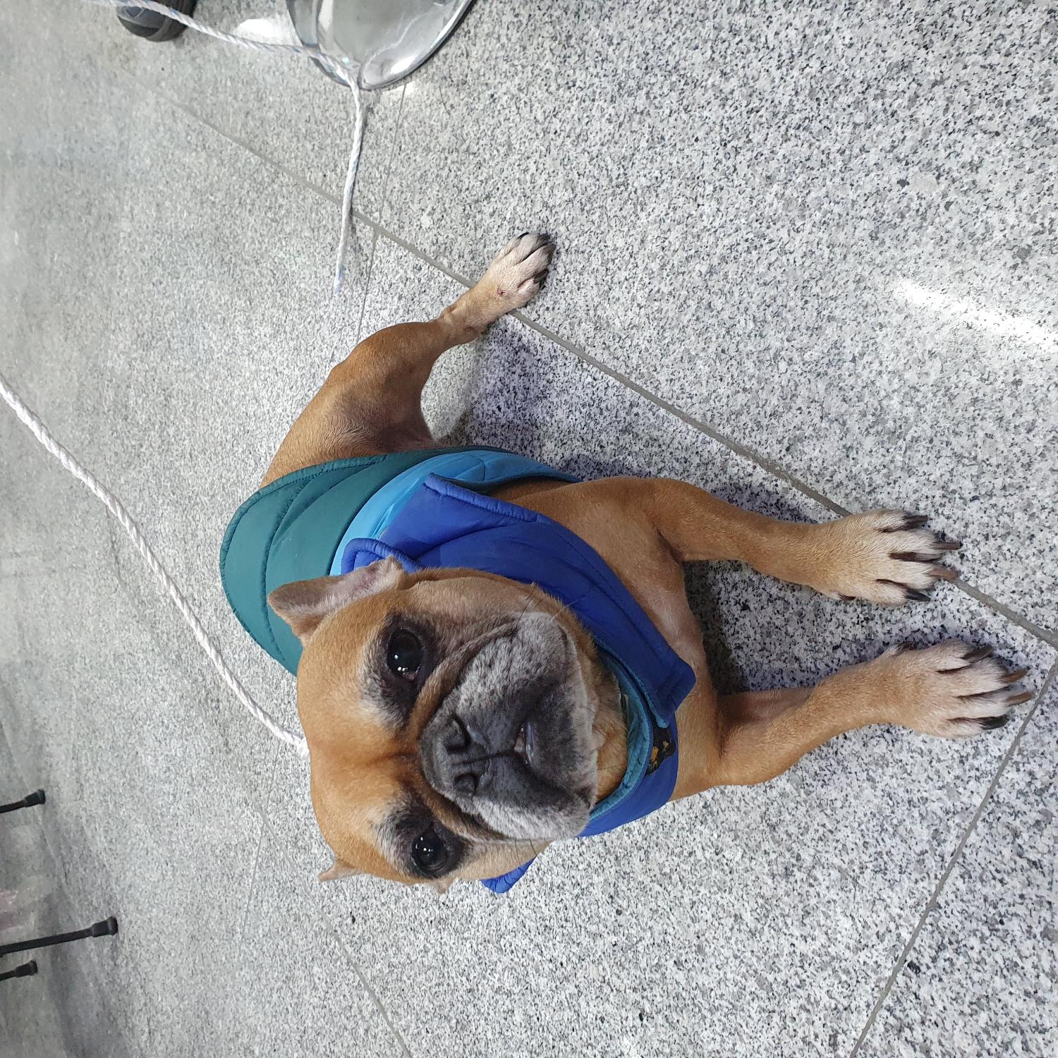 금강동물병원_427346202401353