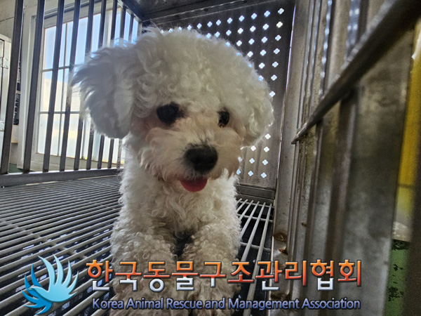 한국동물구조관리협회_411306202400864