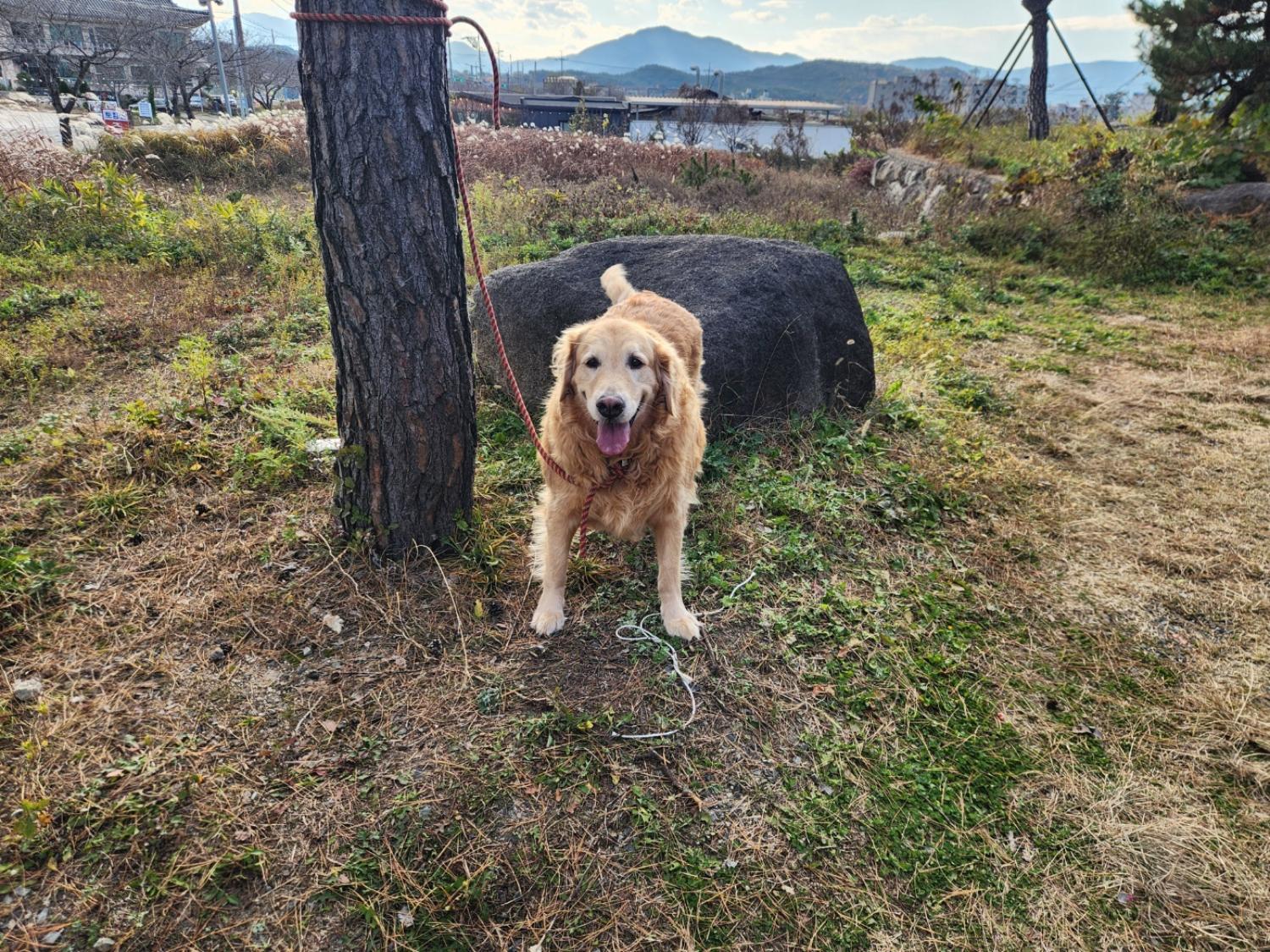 경주동물사랑보호센터_447505202401524