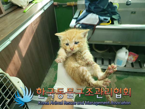 한국동물구조관리협회_411310202400674