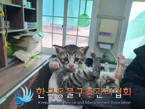 한국동물구조관리협회_411310202400673