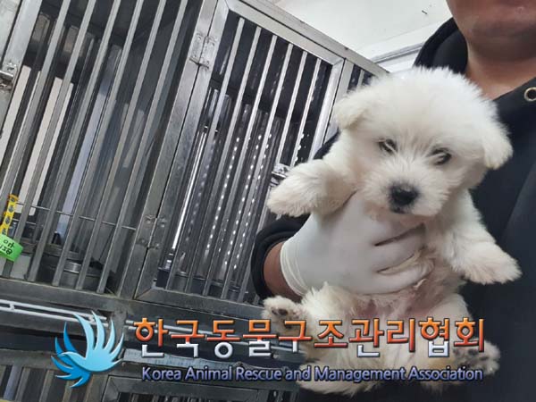 한국동물구조관리협회_411303202400661