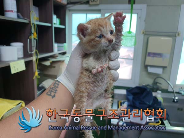 한국동물구조관리협회_411310202400675