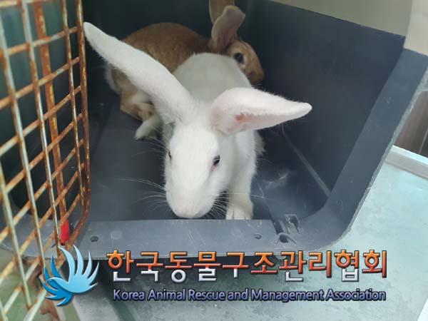 한국동물구조관리협회_411305202400846