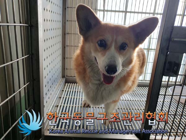 한국동물구조관리협회_411307202400641